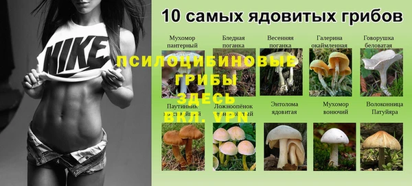 apvp Михайловка