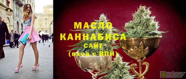тгк Аша