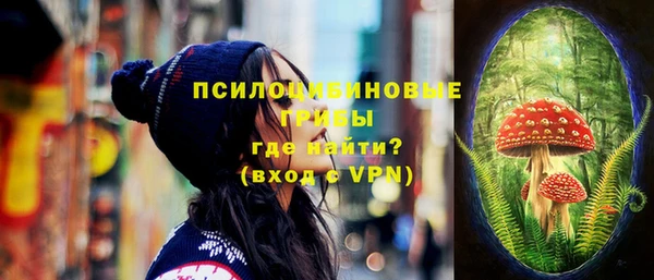 метадон Михайлов