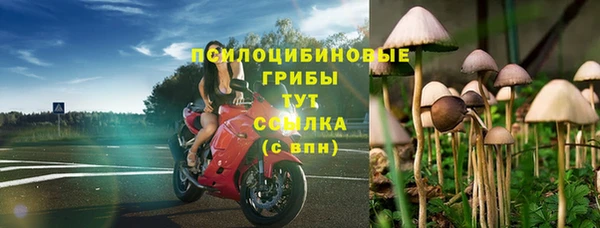 apvp Михайловка