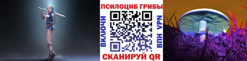 купить наркотик Сычёвка OMG зеркало Галлюциногенные грибы прущие грибы